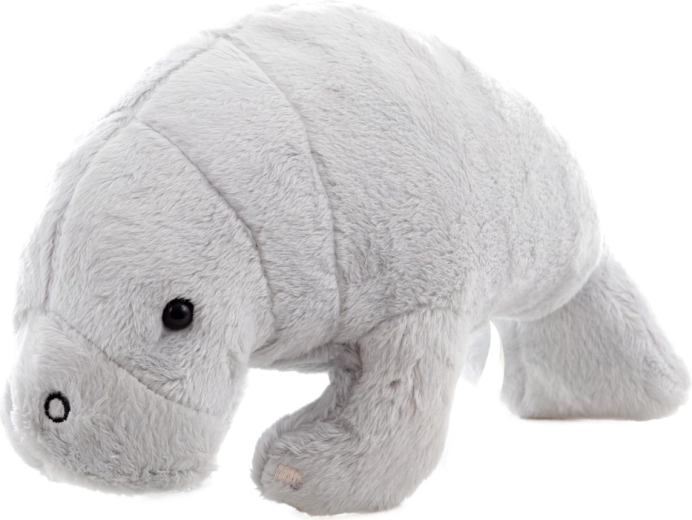 Sigur pentru cei mai mici (0+)