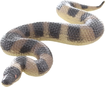 Dimensiuni compacte pentru micii exploratori