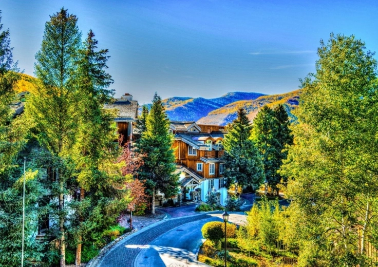 Puzzle bluebird vail, colorado 1000 piese