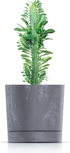 Ideal pentru suculente, ierburi aromatice și plante mici