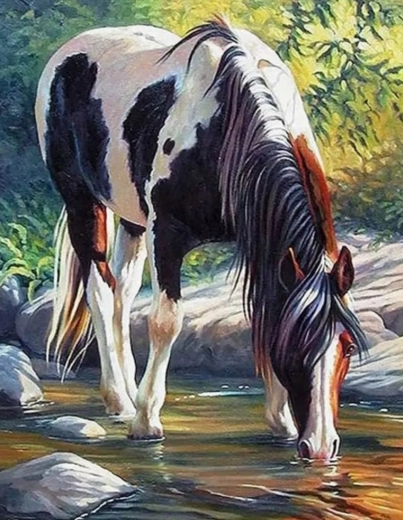 Pictură pe numere – cal lângă râu 40 × 50 cm