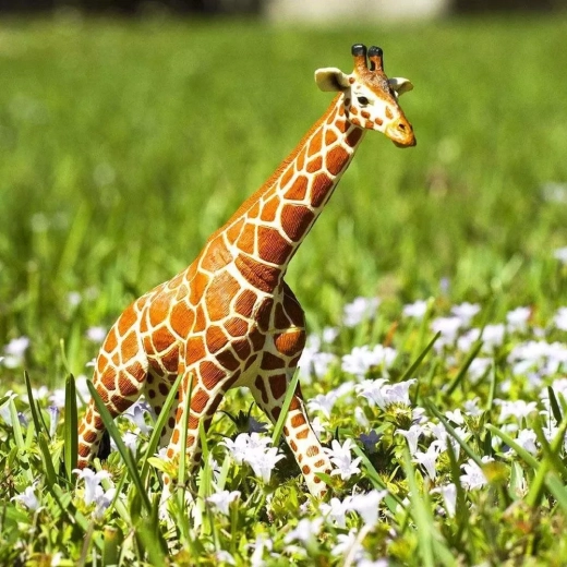 Învățare prin joacă despre animalele africane