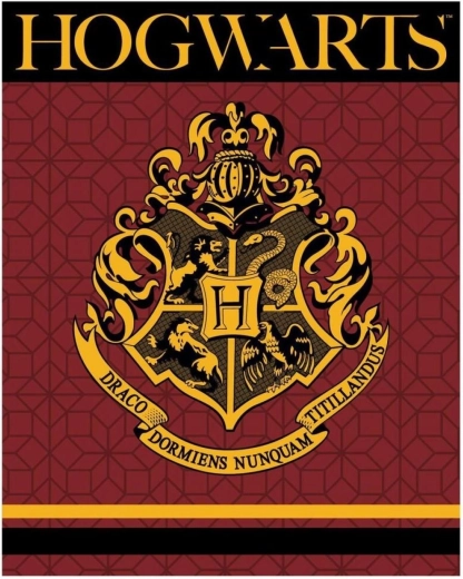 Pătură din fleece Harry Potter XL