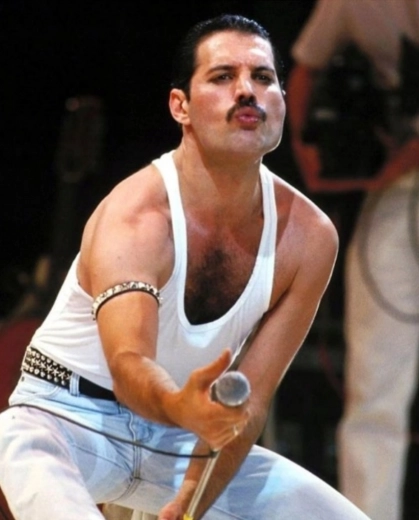 Pictură cu diamante FREDDIE MERCURY 30 × 40 cm