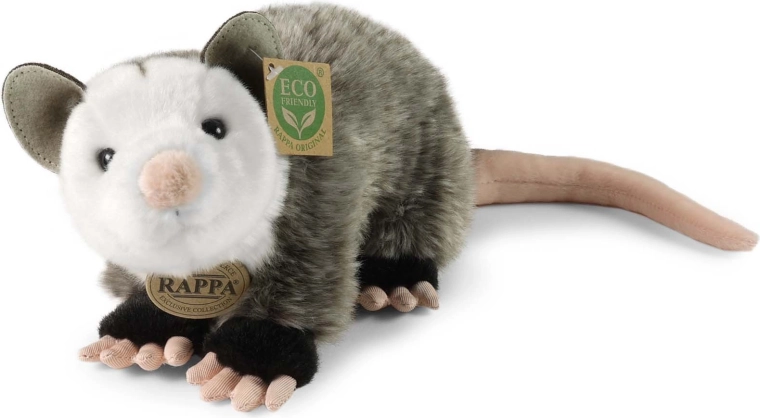 Aspect realist de opossum