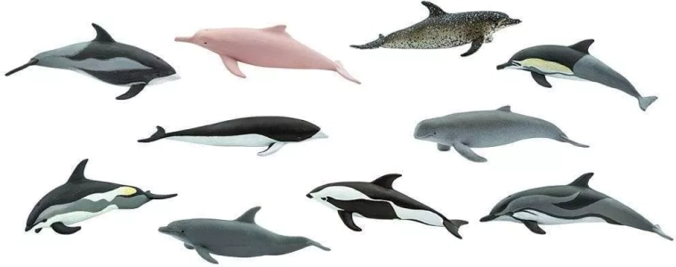 10 specii marine într-un singur pachet