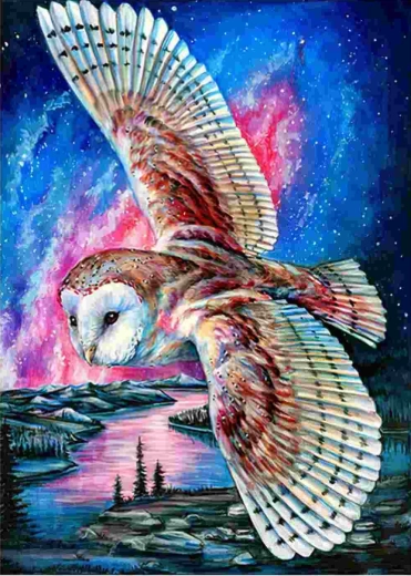 Norimpex pictură cu diamante Bufniță zburătoare 30 × 40 cm