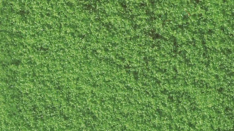 Fulgi din burete NOCH pentru presărare, verde deschis