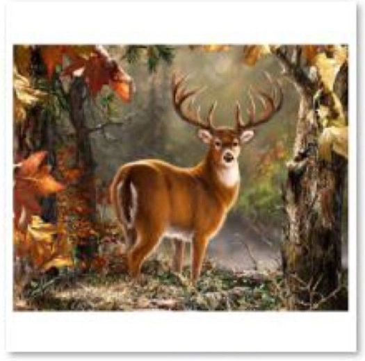 Pictură cu diamante (diamond painting) – cerb impunător 40 × 30 cm