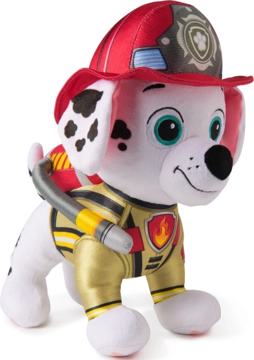 Aspect autentic de pompier