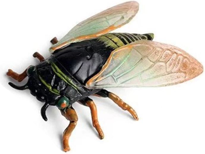 Cicadă 6 cm