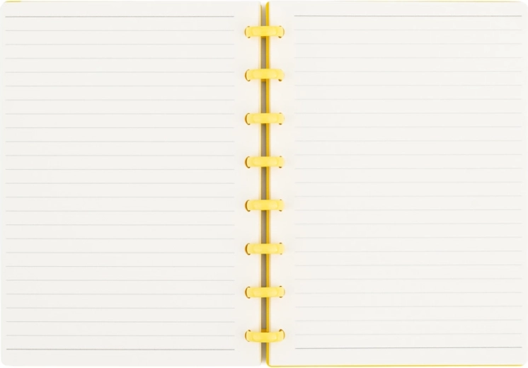 Scriere confortabilă pe 80 de file dictando