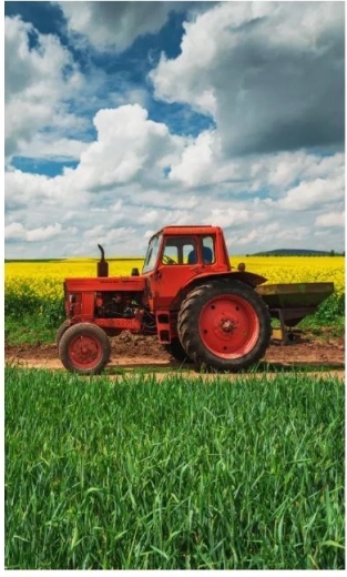 Prosop cu motiv de tractor
