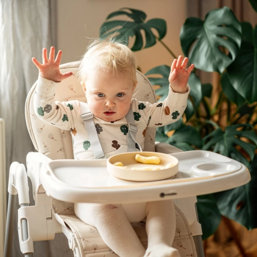 Tavă din două piese, partea superioară pentru mașina de spălat vase