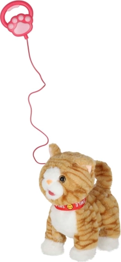 Mers și miorlăit la apăsarea butonului