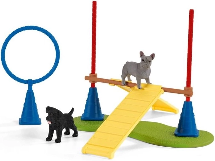 Agilitate canină plină de distracție