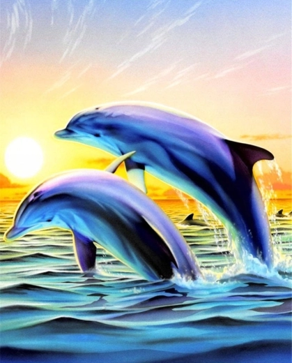 Norimpex Pictură pe numere Delfini săritori 40 × 50 cm