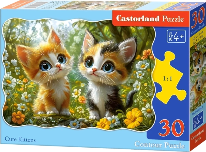 Puzzle Pisicuțe drăgălașe cu 30 de piese