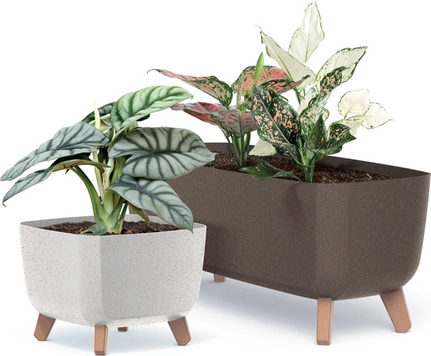 Design ECO Wood modern pentru casă și terasă