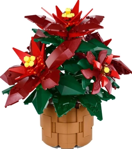 Poinsettia Grande Italia detaliată în ghiveci împletit