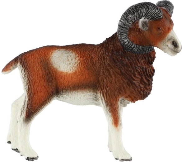 Coarne masive caracteristice
