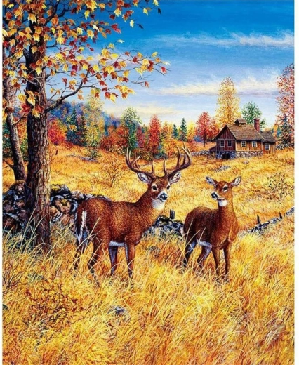 Pictura cu diamante Cerbi pe câmp 30x40 cm
