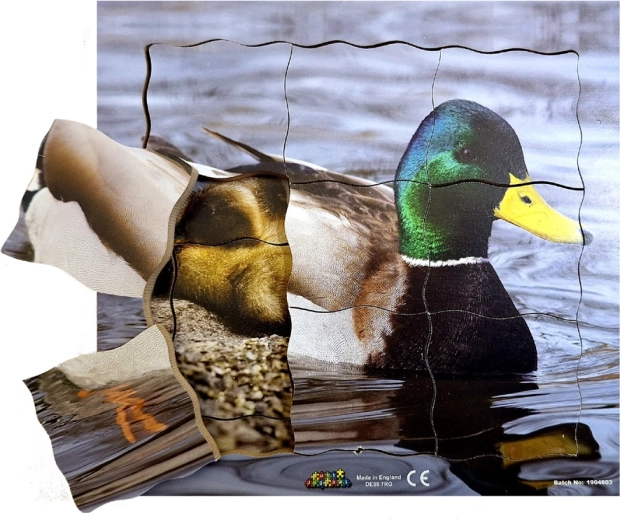 Puzzle stratificat din lemn cu rața și ciclul său de viață - 19 piese