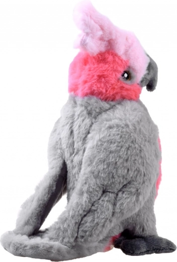 Detalii realiste care atrag atenția