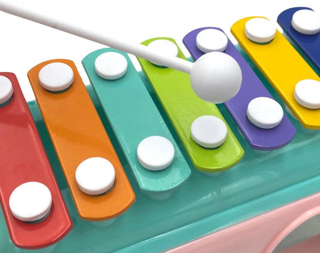 Xilofon colorat pentru micii muzicieni