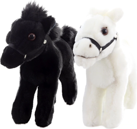 Două culori elegante