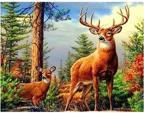 Norimpex pictură cu diamante cerb în munți 30 × 40 cm