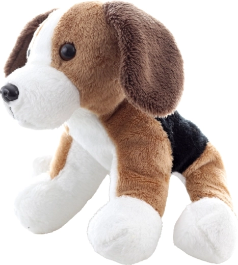 Detalii adorabile ale beagle-ului