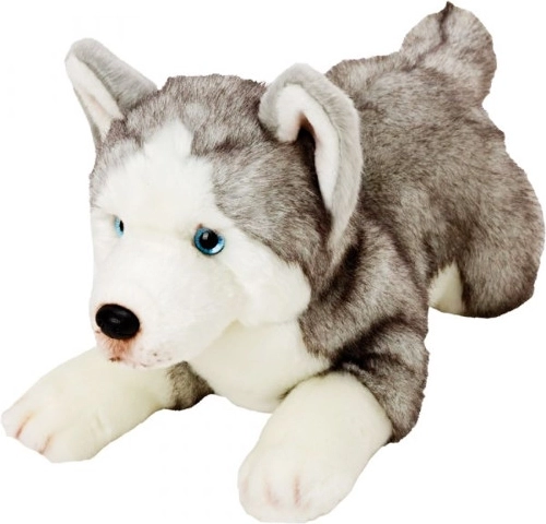 Câine de pluș Husky
