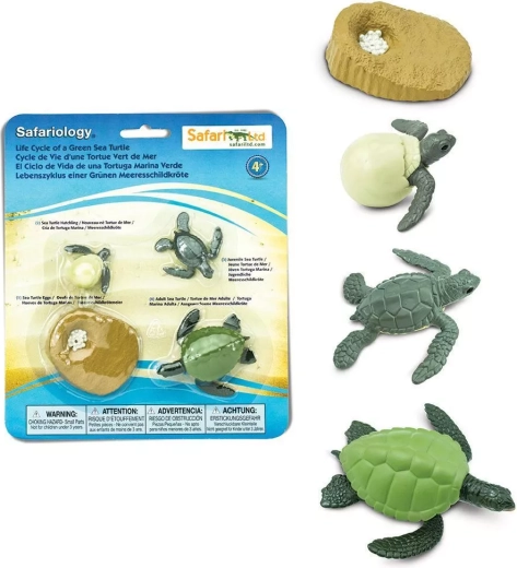 Safari Ltd. ciclul de viață al țestoasei marine