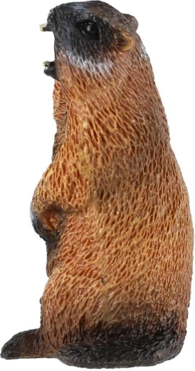 Dimensiune compactă