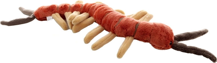 Detalii realiste care încântă