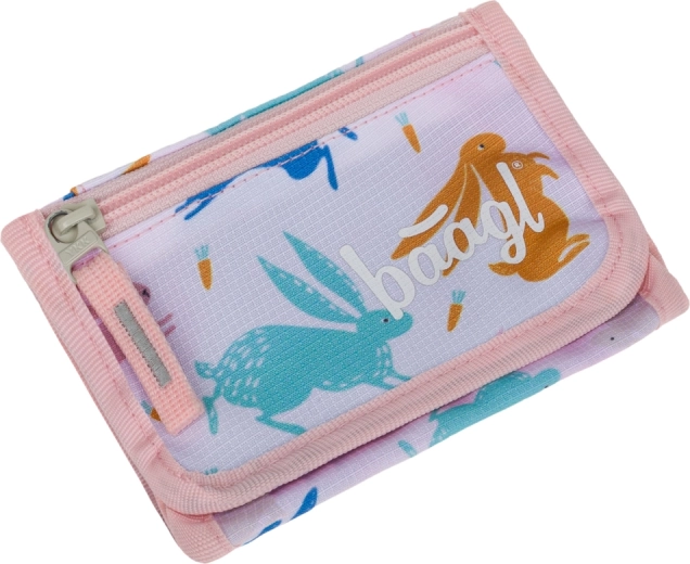 Organizare practică pentru monede, carduri și bancnote