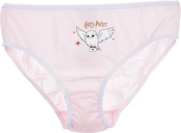Motiv licențiat Harry Potter
