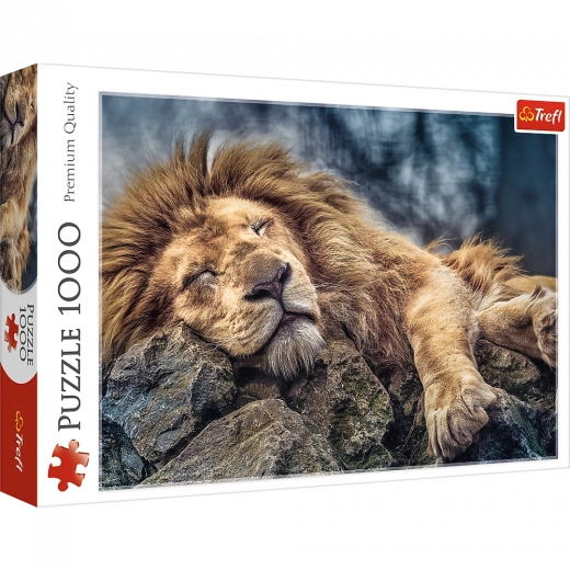 Puzzle 1000 piese Leul adormit