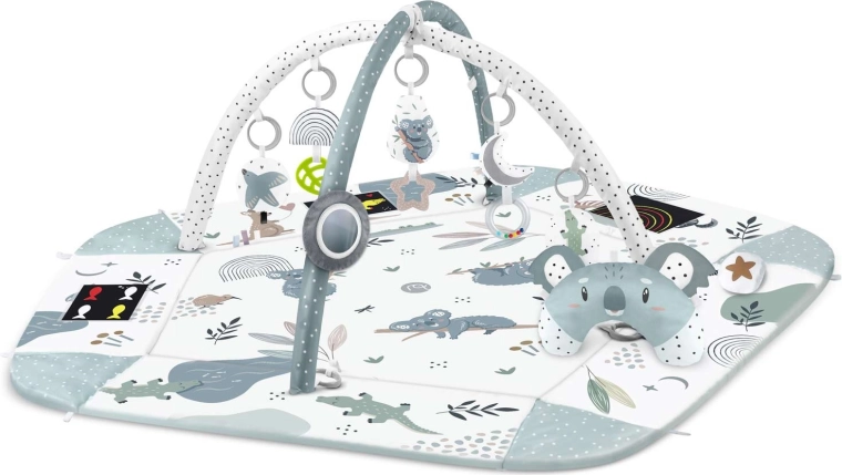 Jucării multisenzoriale și buzunărașe pentru imagini