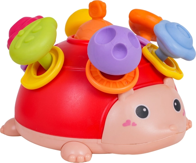 Inele zornăitoare și activități de potrivire distractive