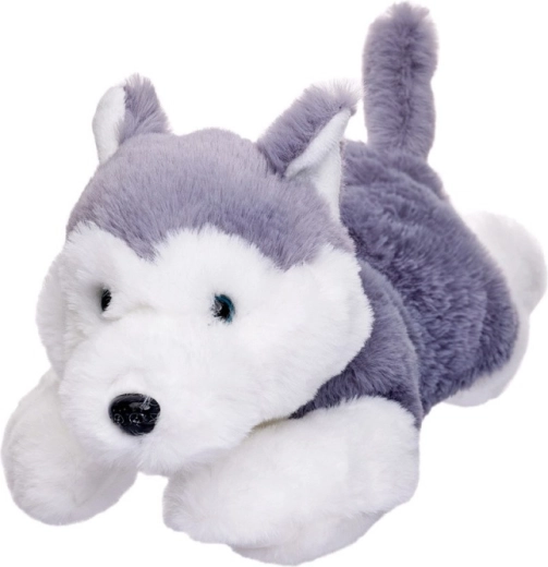 Mascotă câine husky culcat 35 cm