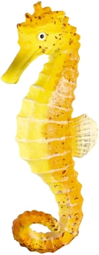 Aspect inspirat de căluțul de mare