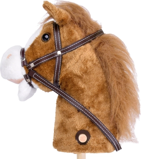 Sunete de galop și nechezat