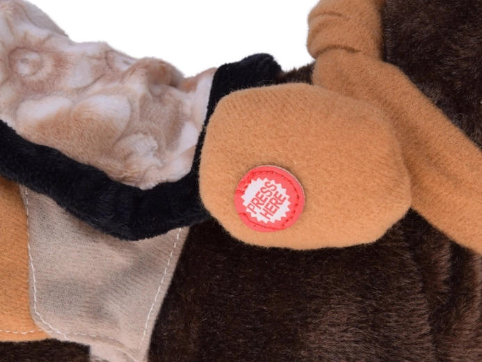 Merge, nechează și dansează pe muzică country