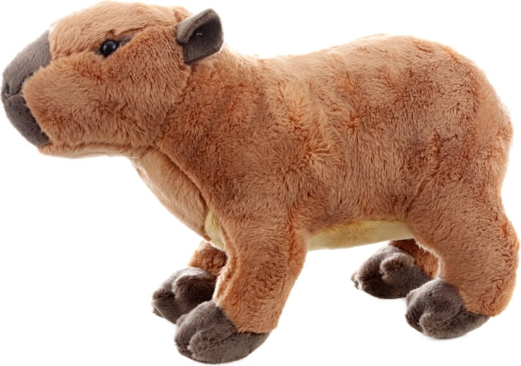 Sigură încă de la naștere