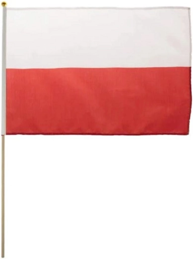 Steag național mic