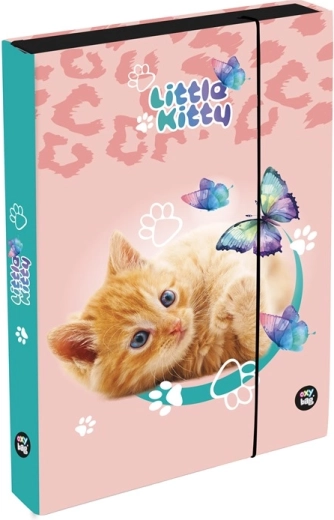 Cutie pentru caiete A5 Jumbo cu motiv pisică