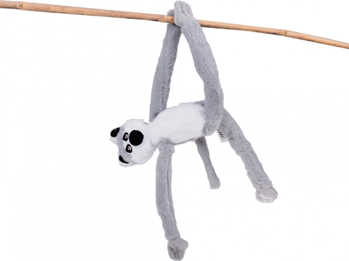 Un lemur care „se cațără” și atârnă ca în natură