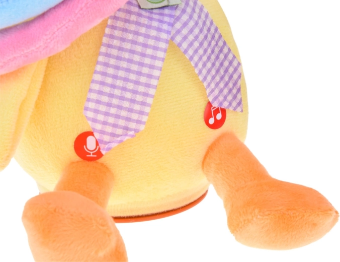 Înregistrare și redare a vocii